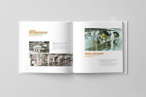 企業形象策劃與品牌畫冊設計 提升品牌影響力的關鍵