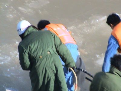 青海潛水技術服務中心 西北潛水領域的專業網絡技術服務先鋒